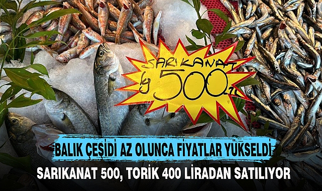 BALIK ÇEŞİDİ AZ OLUNCA FİYATLAR YÜKSELDİ