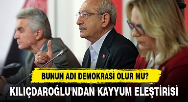BUNUN ADI DEMOKRASİ OLUR MU?