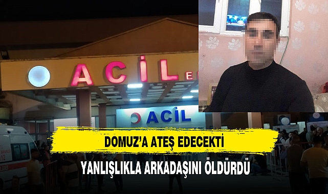 DOMUZ'A ATEŞ EDECEKTİ YANLIŞLIKLA ARKADAŞINI ÖLDÜRDÜ