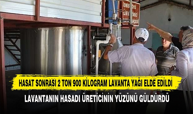 HASAT SONRASI 2 TON 900 KİLOGRAM LAVANTA YAĞI ELDE EDİLDİ