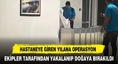 HASTANEYE GİREN YILANA OPERASYON