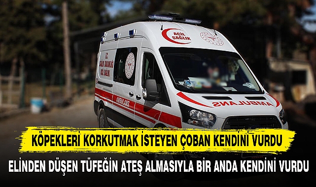 KÖPEKLERİ KORKUTMAK İSTEYEN ÇOBAN KENDİNİ VURDU