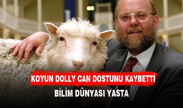 KOYUN DOLLY CAN DOSTUNU KAYBETTİ BİLİM DÜNYASI YASTA