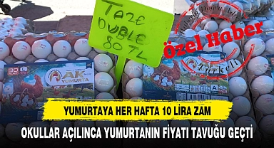 OKULLAR AÇILINCA YUMURTANIN FİYATI TAVUĞU GEÇTİ