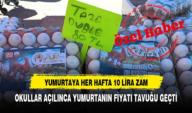 OKULLAR AÇILINCA YUMURTANIN FİYATI TAVUĞU GEÇTİ