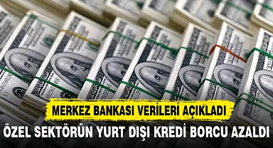 ÖZEL SEKTÖRÜN YURT DIŞI KREDİ BORCU AZALDI