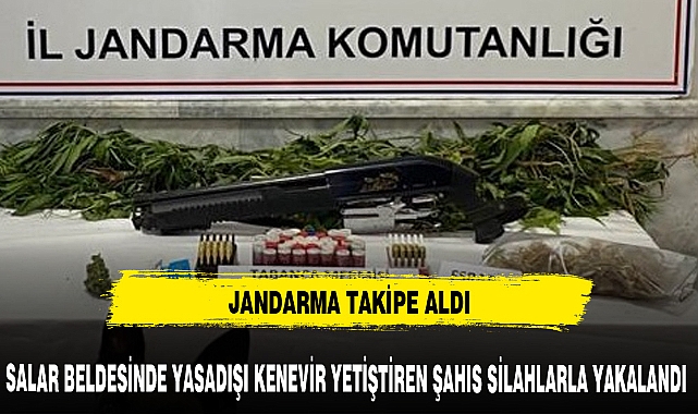 SALAR'DA KENEVİR YETİŞTİREN ŞAHIS YAKALANDI