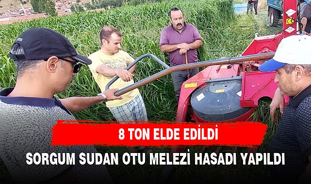 Sorgum sudan otu melezi hasadı yapıldı