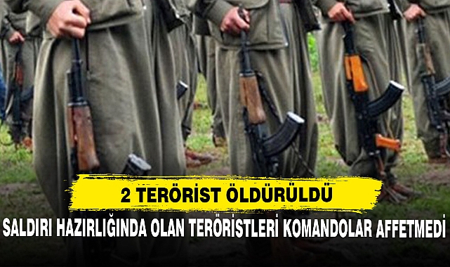 SURİYE'DE 2 TERÖRİST ÖLDÜRÜLDÜ