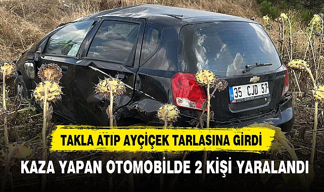TAKLA ATIP AYÇİÇEK TARLASINA GİRDİ