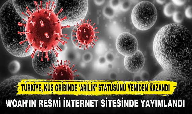 TÜRKİYE, KUŞ GRİBİNDE "ARİLİK" STATÜSÜNÜ YENİDEN KAZANDI