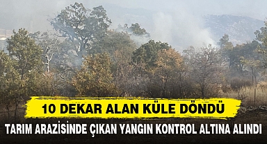 10 DEKAR ALAN KÜLE DÖNDÜ