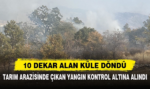 10 DEKAR ALAN KÜLE DÖNDÜ