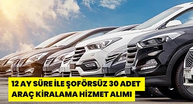 12 AY SÜRE İLE ŞOFÖRSÜZ 30 ADET ARAÇ KİRALAMA HİZMET ALIMI
