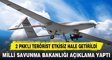 2 PKK'LI TERÖRİST ETKİSİZ HALE GETİRİLDİ