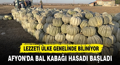 AFYON'DA BAL KABAĞI HASADI BAŞLADI