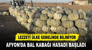 AFYON'DA BAL KABAĞI HASADI BAŞLADI