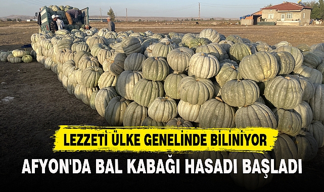 AFYON'DA BAL KABAĞI HASADI BAŞLADI