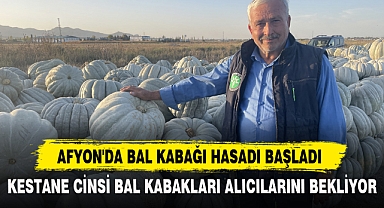 AFYON'DA BAL KABAĞI HASADI BAŞLADI