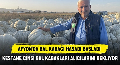 AFYON'DA BAL KABAĞI HASADI BAŞLADI