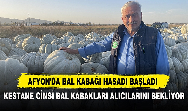 AFYON'DA BAL KABAĞI HASADI BAŞLADI