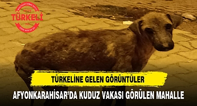 AFYONKARAHİSAR'DA UYUZ KÖPEKLER MAHALLENİN KABUSU OLDU