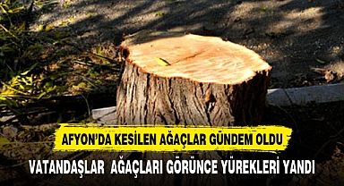 AFYONKARAHİSAR'DA YÜREKLERİ YAKAN MANZARA