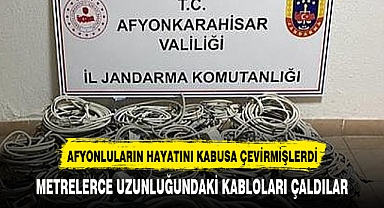 AFYONKARAHİSARLILARIN HAYATINI KABUSA ÇEVİRDİLER