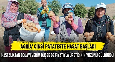 ‘AGRİA’ CİNSİ PATATESTE HASAT BAŞLADI