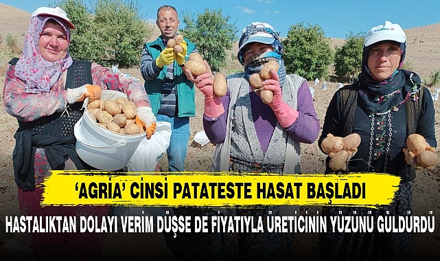 ‘AGRİA’ CİNSİ PATATESTE HASAT BAŞLADI