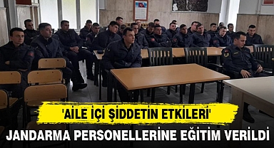 'AİLE İÇİ ŞİDDETİN ETKİLERİ'