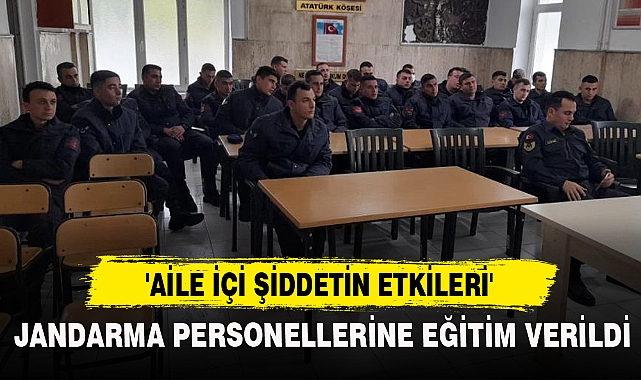 'AİLE İÇİ ŞİDDETİN ETKİLERİ'