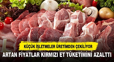 ARTAN FİYATLAR KIRMIZI ET TÜKETİMİNİ AZALTTI