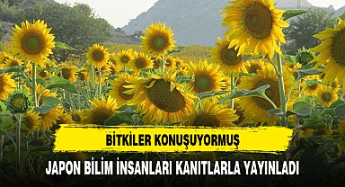 BİTKİLERİN KONUŞTUĞU KANITLANDI