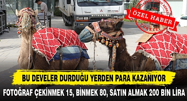 BU DEVELER DURDUĞU YERDEN PARA KAZANIYOR