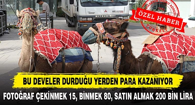 BU DEVELER DURDUĞU YERDEN PARA KAZANIYOR