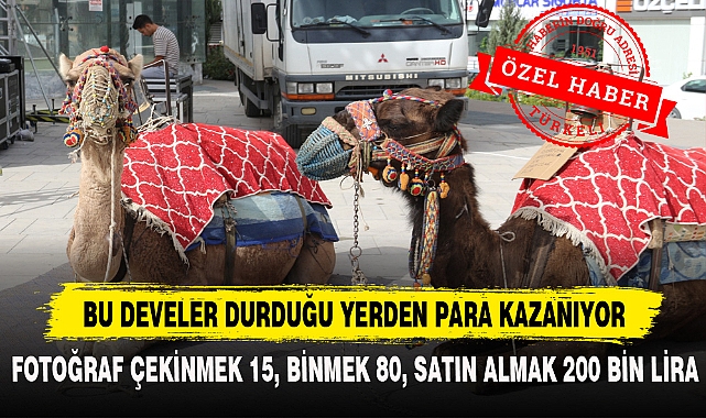 BU DEVELER DURDUĞU YERDEN PARA KAZANIYOR