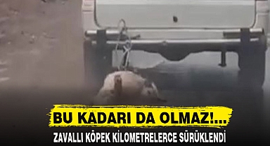 Bu kadarı da olmaz!...