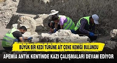 BÜYÜK BİR KEDİ TÜRÜNE AİT ÇENE KEMİĞİ BULUNDU