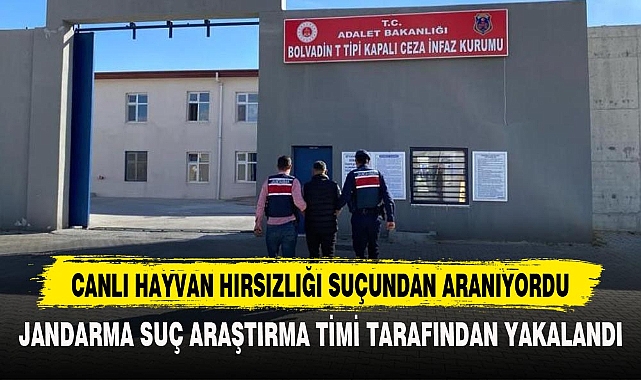 CANLI HAYVAN HIRSIZLIĞI SUÇUNDAN ARANIYORDU