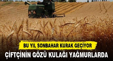 ÇİFTÇİNİN GÖZÜ KULAĞI YAĞMURLARDA