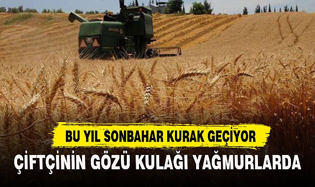 ÇİFTÇİNİN GÖZÜ KULAĞI YAĞMURLARDA