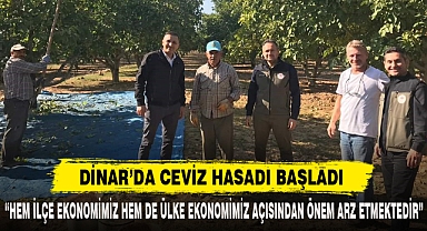 DİNAR’DA CEVİZ HASADI BAŞLADI