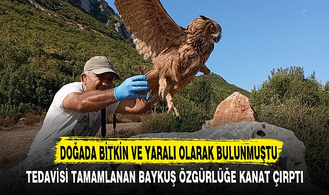 DOĞADA BİTKİN VE YARALI OLARAK BULUNMUŞTU