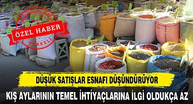 DÜŞÜK SATIŞLAR ESNAFI DÜŞÜNDÜRÜYOR