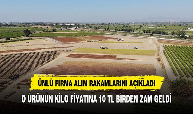 EGE'Lİ ÇİFTÇİLERE GÜZEL HABER TARİŞ O ÜRÜNÜN FİYATINA 10 TL BİRDEN ZAM YAPTI