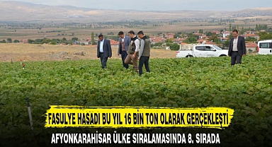 FASULYE HASADI BU YIL 16 BİN TON OLARAK GERÇEKLEŞTİ