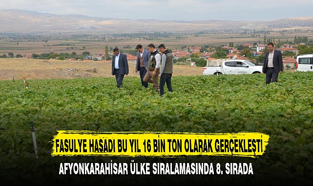 FASULYE HASADI BU YIL 16 BİN TON OLARAK GERÇEKLEŞTİ