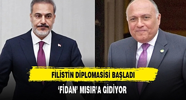 FİDAN MISIR'A GİDİYOR
