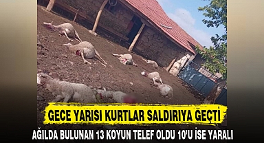 GECE YARISI KURTLAR SALDIRIYA GEÇTİ